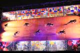 WallDanceCouleurs 93 * 5184 x 3456 * (8.27MB)